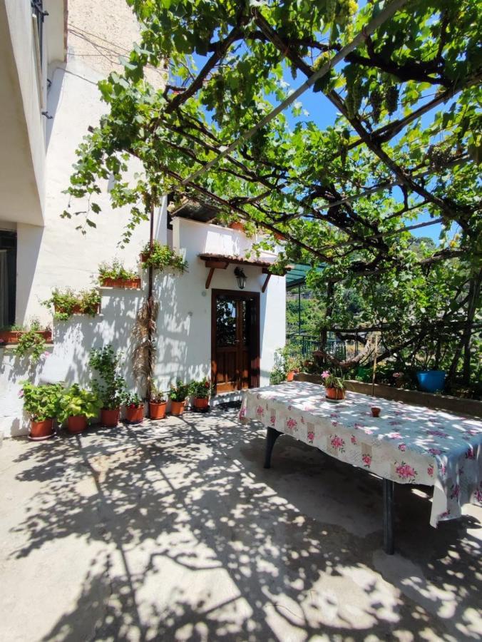 Apartmán Eden Tra I Limoni Minori Exteriér fotografie