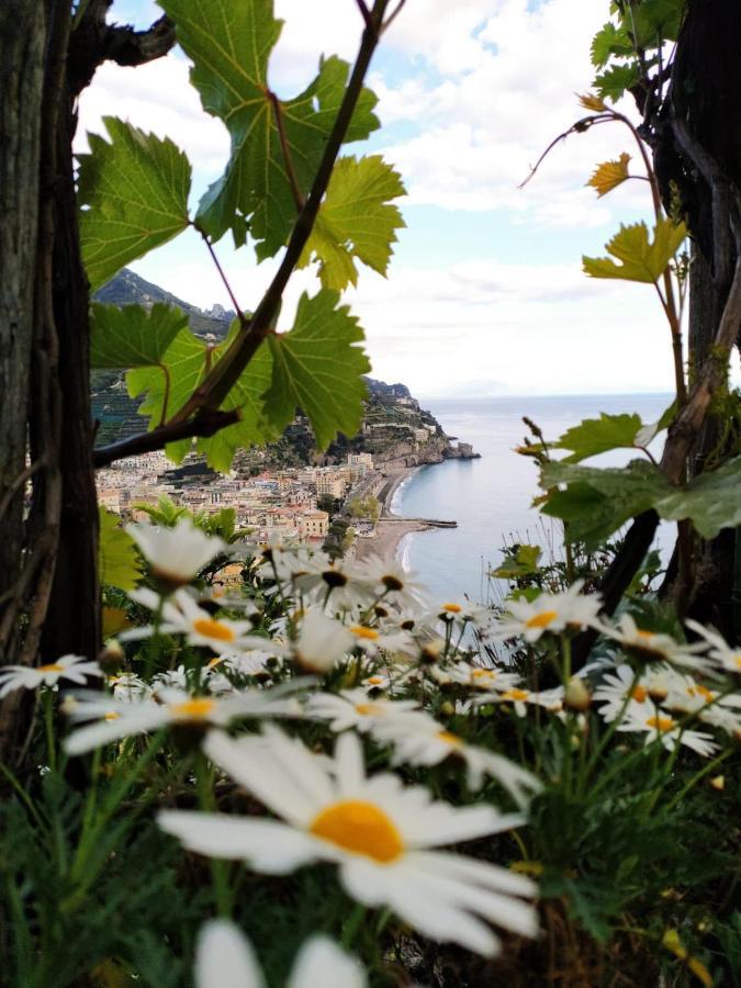Apartmán Eden Tra I Limoni Minori Exteriér fotografie